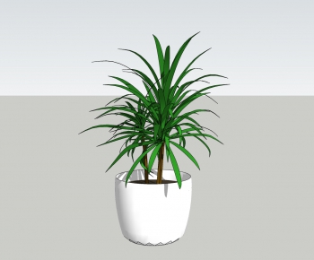 Modern Potted Green Plant-ID:287995619