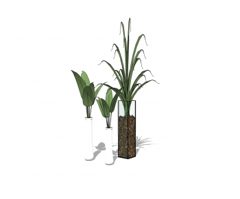 Modern Potted Green Plant-ID:726313465
