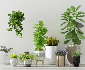 Modern Potted Green Plant-ID:149446795