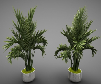 Modern Potted Green Plant-ID:582363413