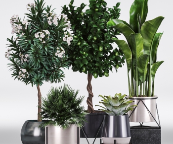 Modern Potted Green Plant-ID:167028393