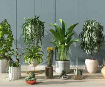Modern Potted Green Plant-ID:912371227