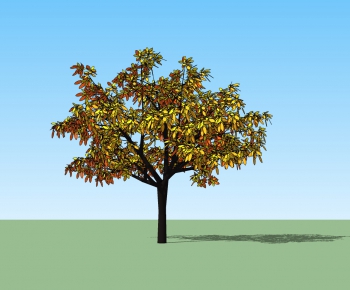 Modern Tree-ID:468317381