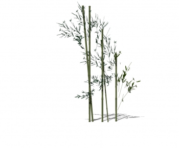 Modern Bamboo-ID:445522231