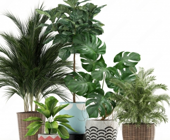 Modern Potted Green Plant-ID:806400282