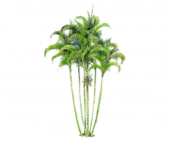Modern Plant-ID:930873344