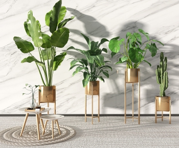Modern Potted Green Plant-ID:828253699
