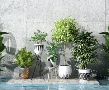 Modern Potted Green Plant-ID:725491324