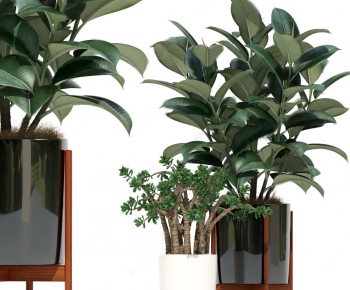 Modern Potted Green Plant-ID:625681549