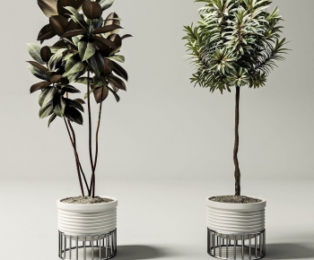 Modern Potted Green Plant-ID:325272234