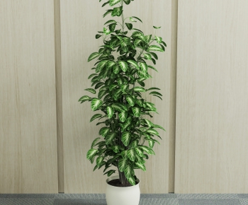 Modern Potted Green Plant-ID:239541677