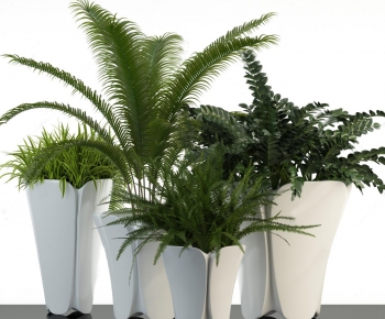 Modern Potted Green Plant-ID:860673116