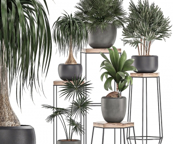 Modern Potted Green Plant-ID:671087126