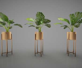 Modern Potted Green Plant-ID:592944832