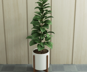 Modern Potted Green Plant-ID:882213111