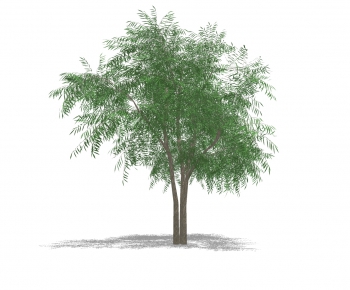 Modern Tree-ID:631366345