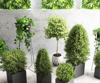 Modern Potted Green Plant-ID:540201628