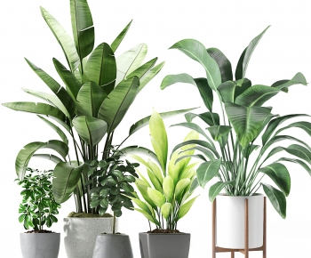 Modern Potted Green Plant-ID:931241598