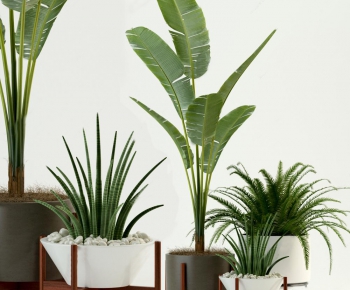 Modern Potted Green Plant-ID:195244828