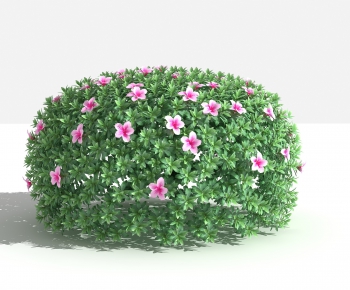 Modern Shrubbery-ID:987295427