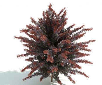 Modern Shrubbery-ID:437318686