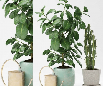 Modern Potted Green Plant-ID:407239892