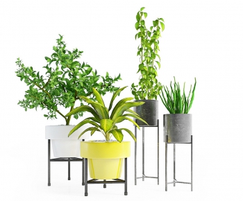 Modern Potted Green Plant-ID:786234617