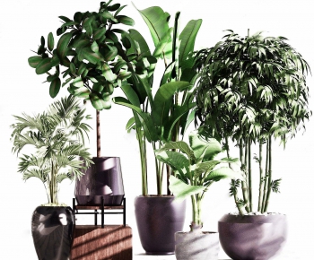 Modern Potted Green Plant-ID:455925698