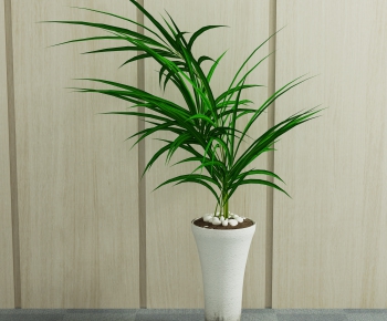 Modern Potted Green Plant-ID:207531117