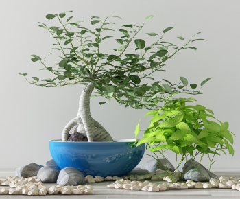Simple European Style Potted Green Plant-ID:543752822