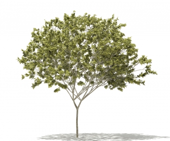 Modern Tree-ID:854065581