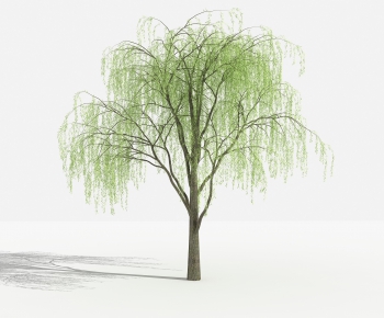 Modern Tree-ID:696036134
