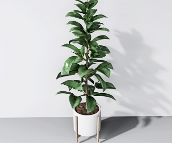 Modern Potted Green Plant-ID:754046758