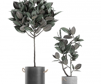 Modern Potted Green Plant-ID:927261419