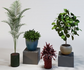 Modern Potted Green Plant-ID:889483762