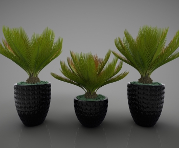 Modern Potted Green Plant-ID:376916816