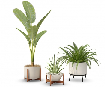 Modern Potted Green Plant-ID:509418367