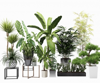 Modern Potted Green Plant-ID:863091562