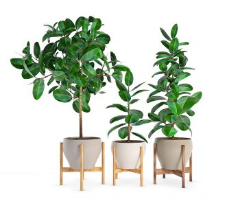 Modern Potted Green Plant-ID:410940561