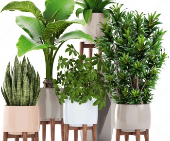 Modern Potted Green Plant-ID:710444143