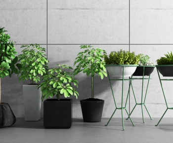 Modern Potted Green Plant-ID:517368993