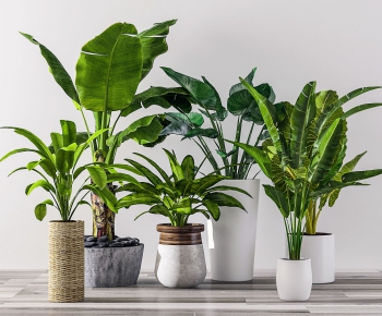 Modern Potted Green Plant-ID:182254616