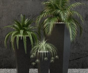 Modern Potted Green Plant-ID:592082349