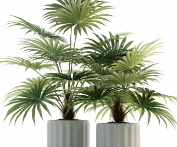 Modern Potted Green Plant-ID:491290712