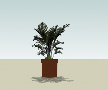 Modern Potted Green Plant-ID:472711861