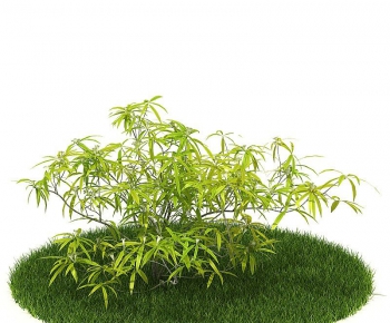 Modern Tree/shrub/grass-ID:707078223