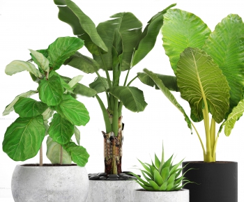 Modern Potted Green Plant-ID:946595363