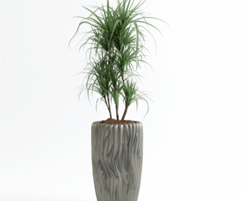 Modern Potted Green Plant-ID:779281827
