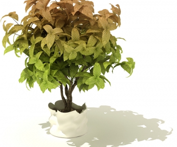 Modern Potted Green Plant-ID:424272615