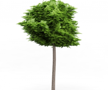 Modern Tree/shrub/grass-ID:615342144